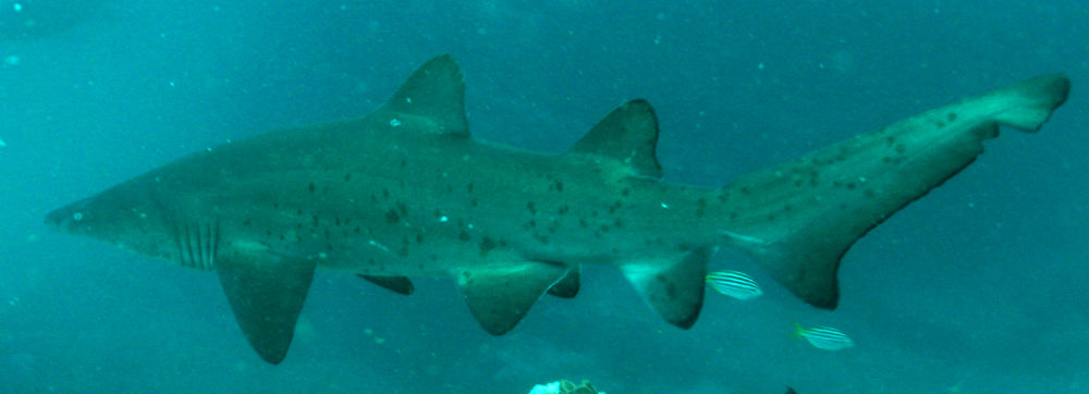 9b322fa7-a1f9-4219-929b-ec24da08ee65