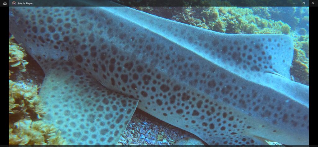 cab51460-66e0-4ead-9b55-61eeeb0a2f95