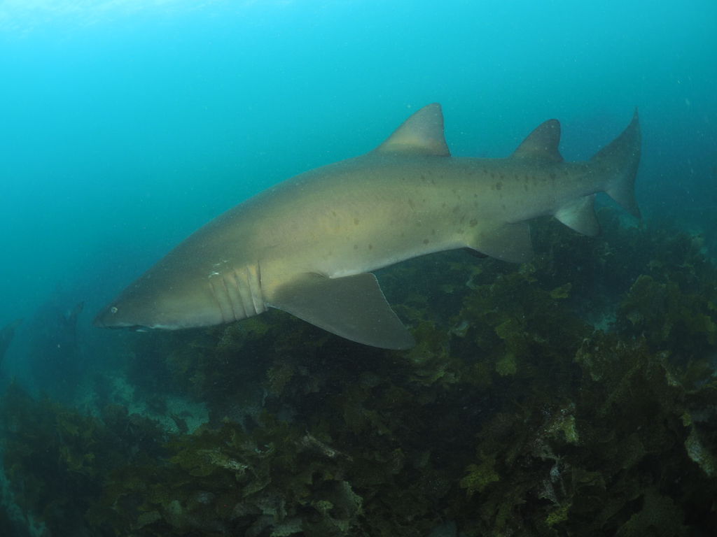 f805e1ed-14ba-42ee-bf7d-83b6d3f49131