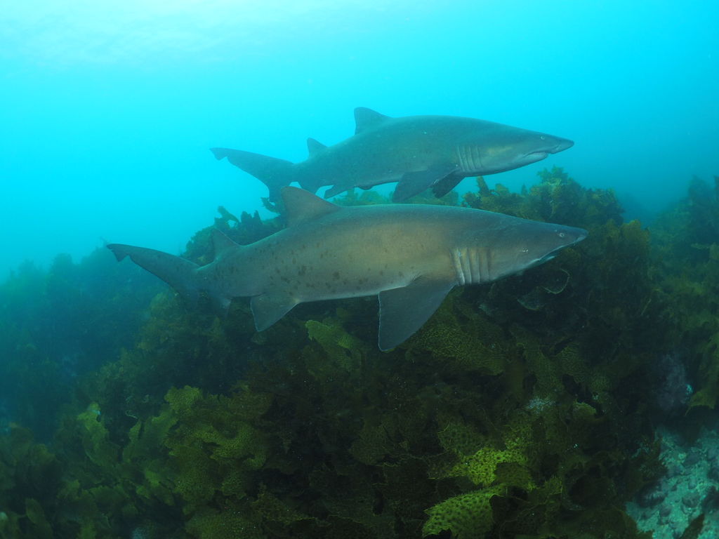 2e99d0d1-1cc1-4438-8294-b2079ec34c1f