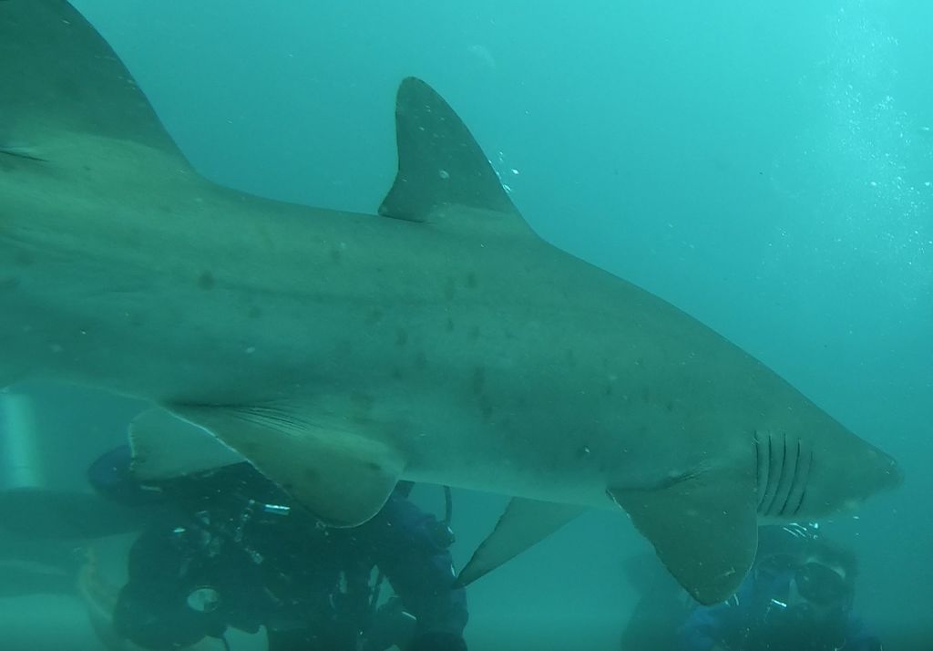 d34beb22-d011-4ba2-8565-3cd455f235ce