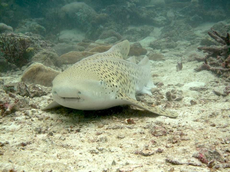 5fa13053-56cd-4f19-b734-9b3070c84365