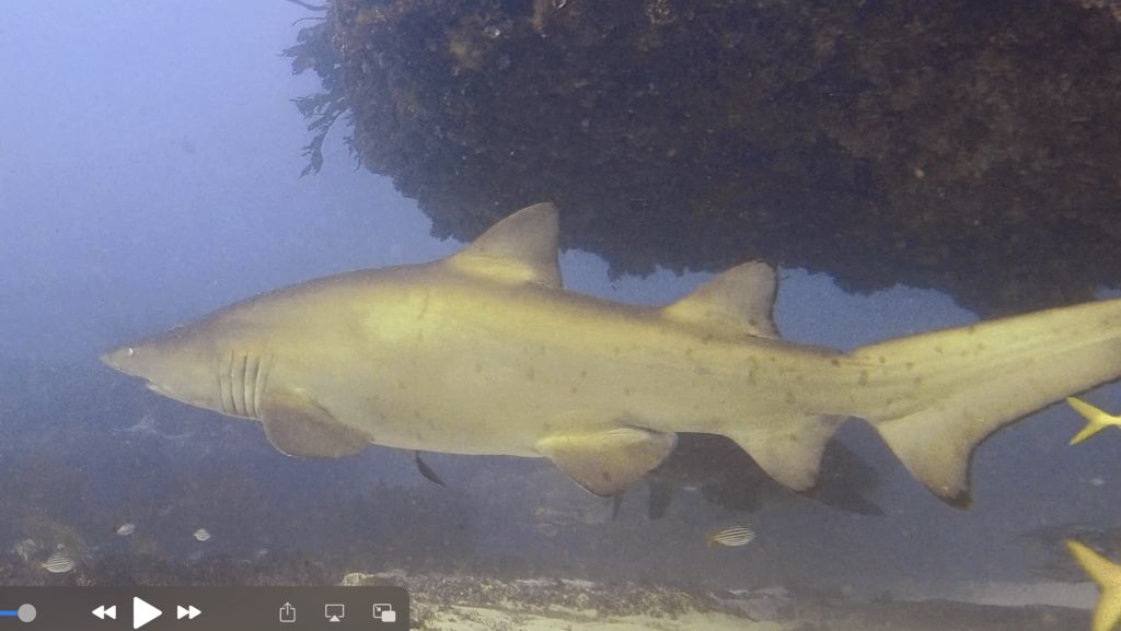 9a4a308b-b93f-4d93-b118-81877df43154