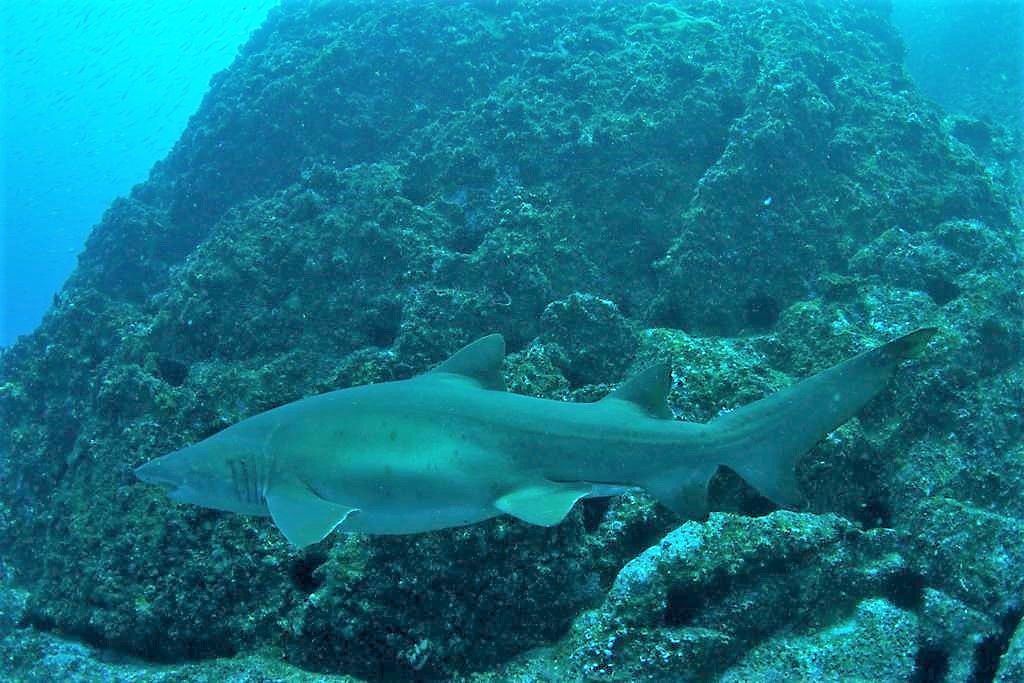 1861be47-6eac-47f1-8a94-03d6eccc4103