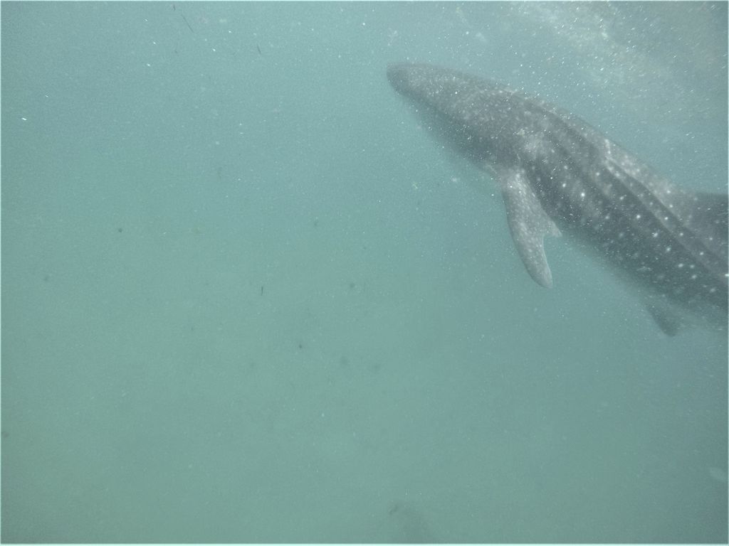 1151de0d-5256-4a08-9999-a90c33405bfc