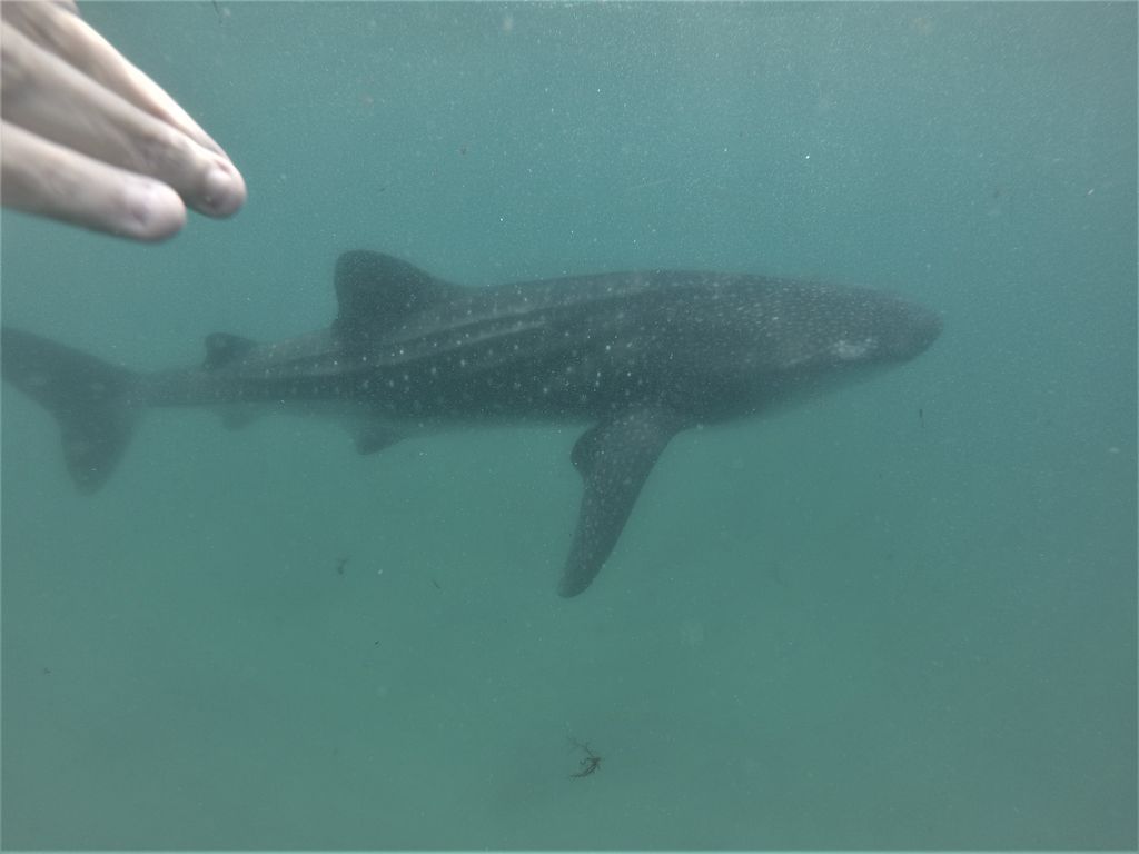 1151de0d-5256-4a08-9999-a90c33405bfc