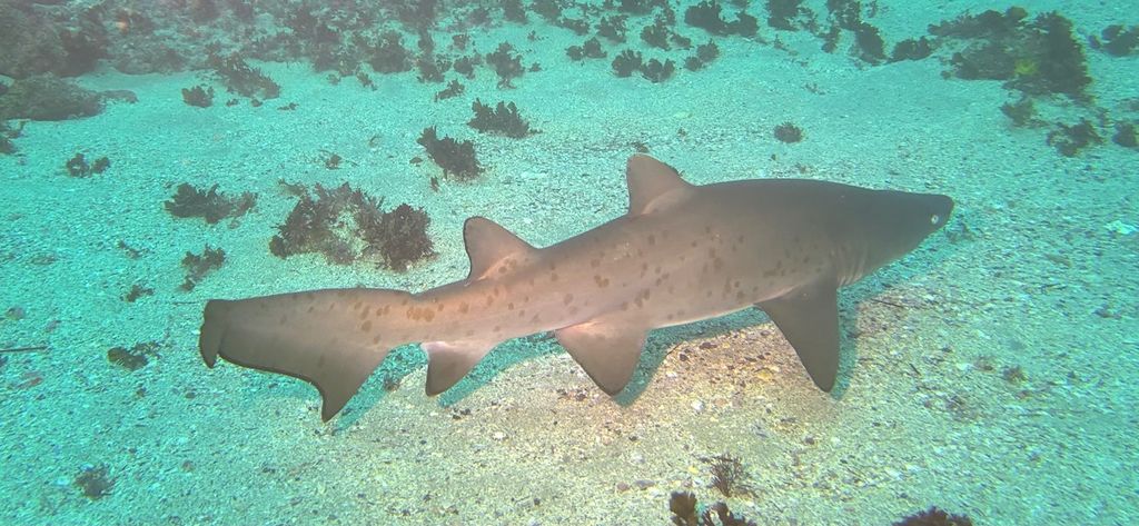 df608fbe-e1a9-476c-845e-ea1a3c552b1a