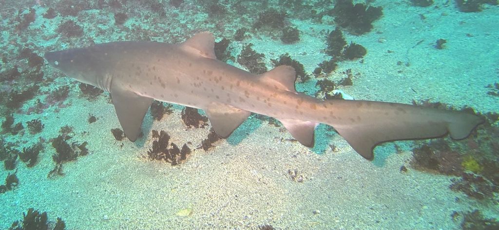 df608fbe-e1a9-476c-845e-ea1a3c552b1a