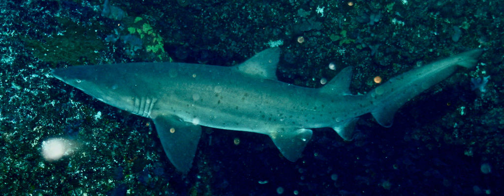 014033dd-e38a-4958-bfa3-482ec5b0db19