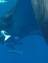 2b783502-1175-4b84-bb5c-c4704f0b29d1