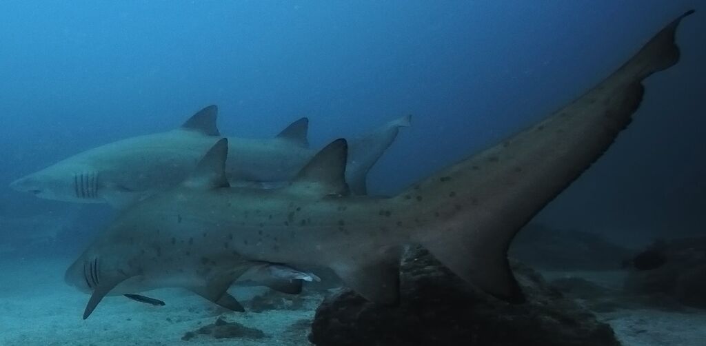 cd8bfbe9-d145-4cf4-9a5b-7c44a927fcef