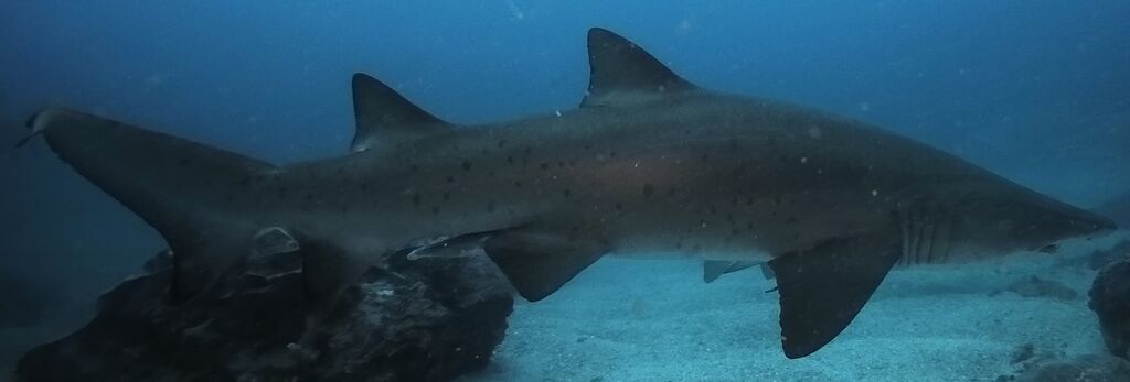 cd8bfbe9-d145-4cf4-9a5b-7c44a927fcef