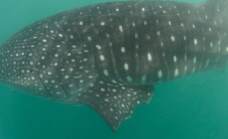 47dfabab-2c8a-41ee-8080-e0ae12c18be8