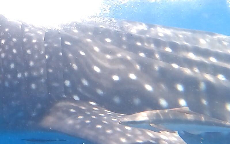 a98e9c4c-6604-4e07-8645-5bf744113e53