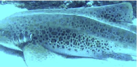 5b5d751a-f7a0-478b-970e-3cfa0e0431c9