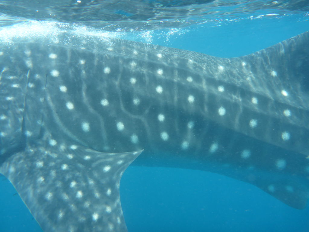 347647b2-22da-4610-8abc-a2b5840eccd0