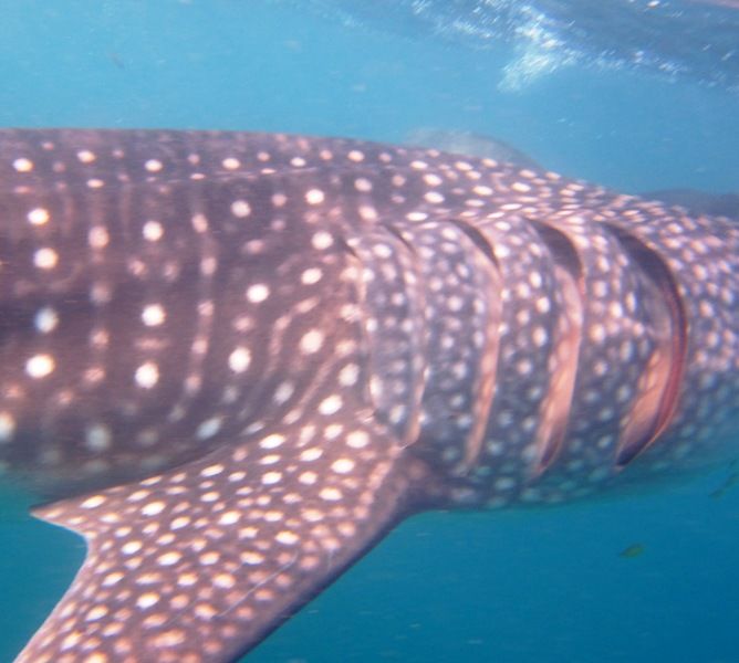 87876ae3-a9d4-4dba-9d9d-fbe14121b15e