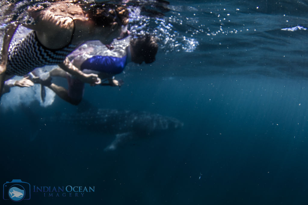 3a317da5-1cb4-412f-b840-4404e9d65183