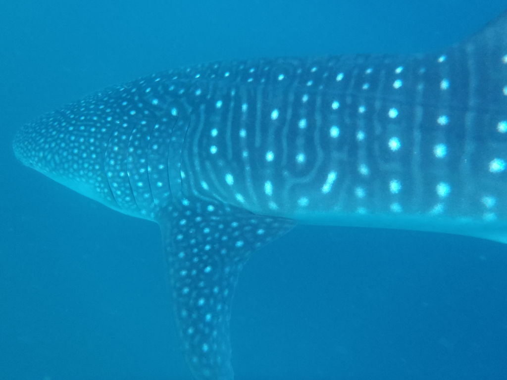 c39568b1-3ddc-48af-ae36-261d34df978c