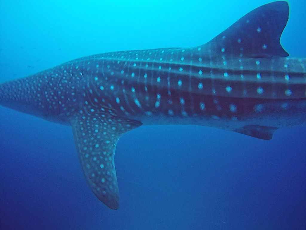 5e5e3d23-6f12-40fd-a95b-2f942e83ae98