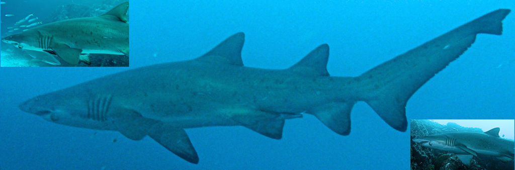 5b7ae46c-4604-4f09-8fdc-efaf1642ee79