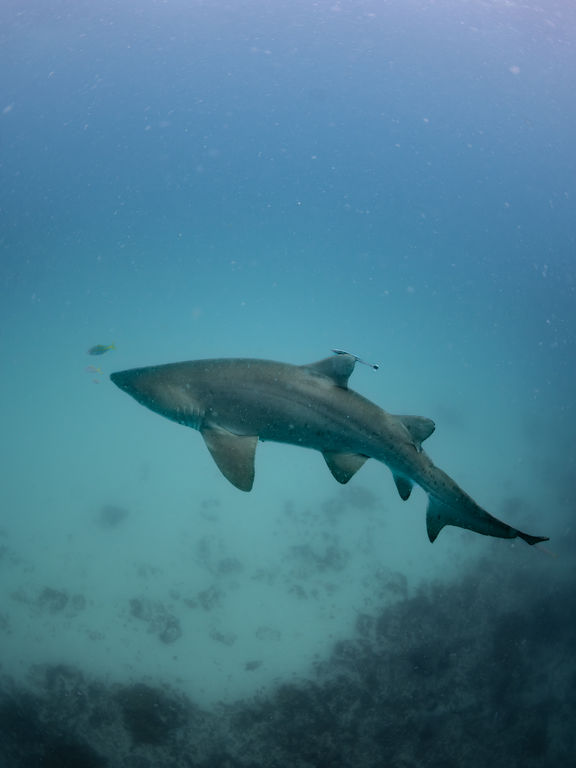 47794bb1-ae5a-4c96-982b-bb92318b7998