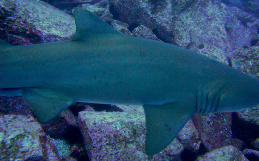 75789f1b-7523-42de-b94c-58ff23dba517