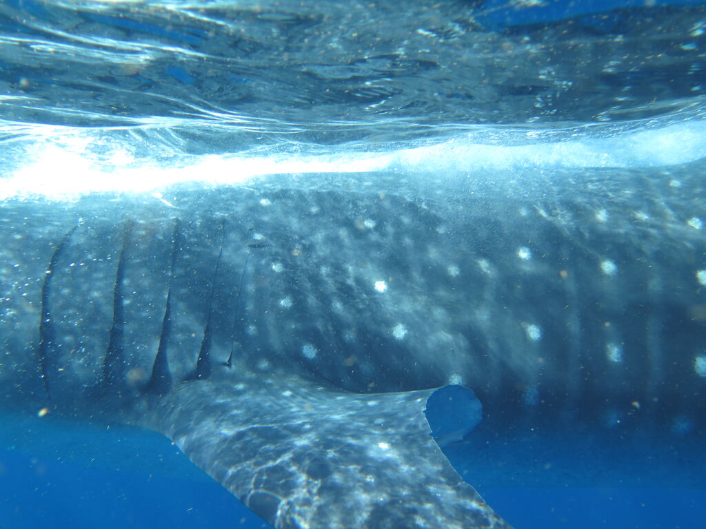 2da96c01-d7ca-4a82-bf90-d35980552f26