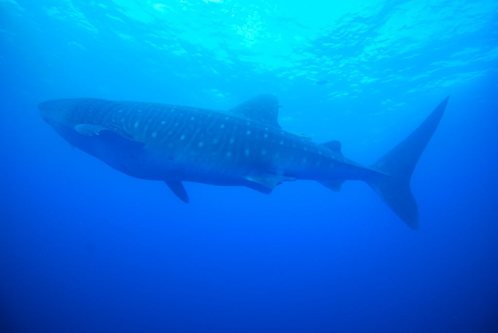 14fc7bb3-aaea-4e01-8fa9-f0571824a508