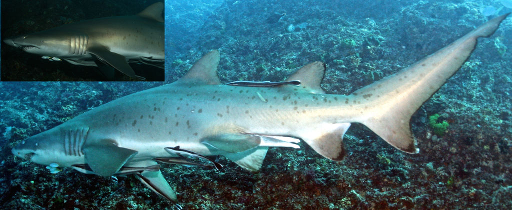 35fa32d6-7dd5-4be8-8faa-8b7fefea8115