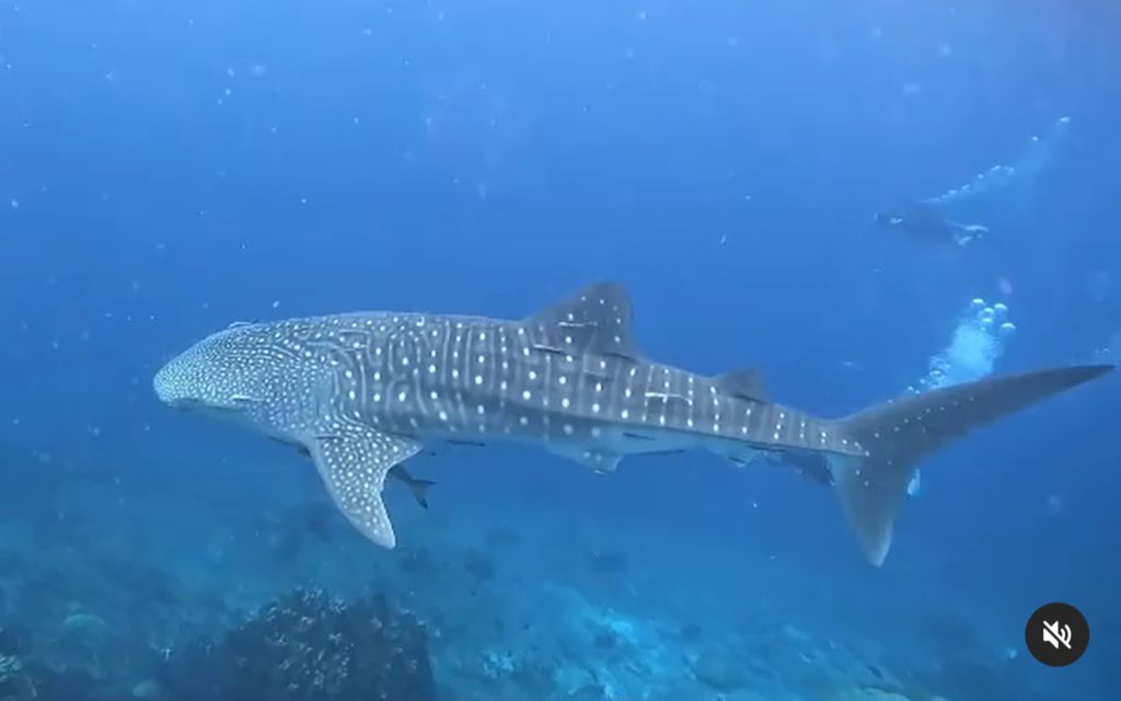 5c13d8e2-c87f-41d1-80e4-78f1144c0e64