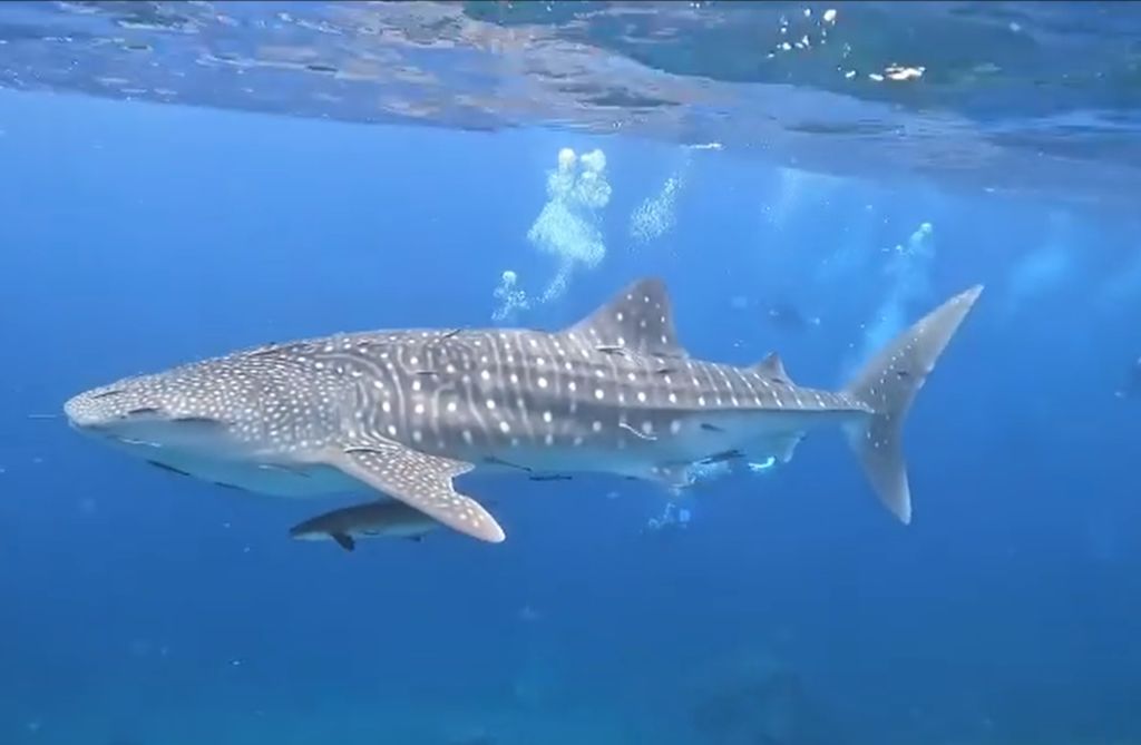 5c13d8e2-c87f-41d1-80e4-78f1144c0e64