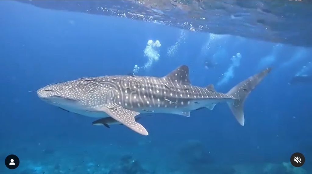 5c13d8e2-c87f-41d1-80e4-78f1144c0e64