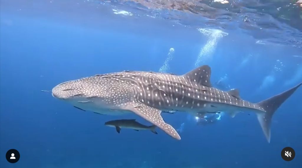 5c13d8e2-c87f-41d1-80e4-78f1144c0e64