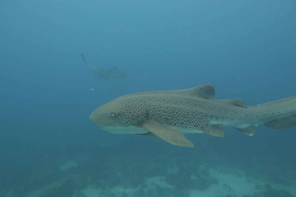 40057ba2-b1a4-4a0e-8320-99a4f87175da