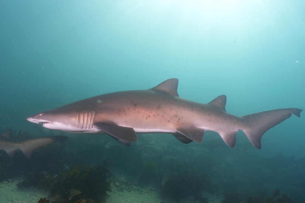 27bf62f6-98b3-4675-8cbe-35a6adf1df88