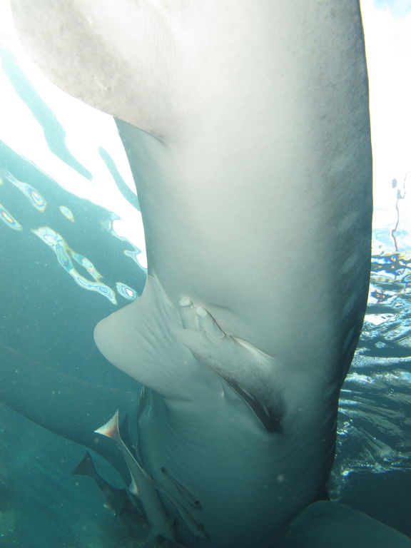 417065e8-36a3-47a1-aa80-926e78369f81