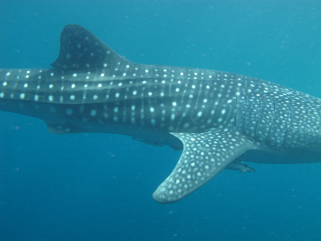 417065e8-36a3-47a1-aa80-926e78369f81