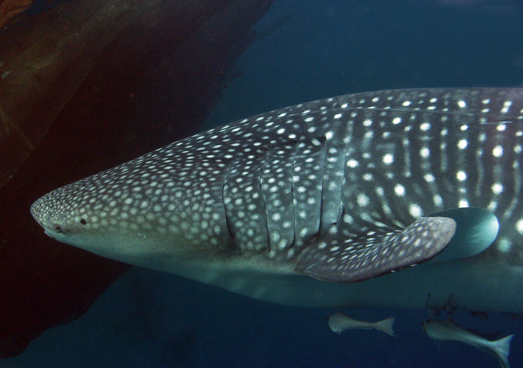 417065e8-36a3-47a1-aa80-926e78369f81