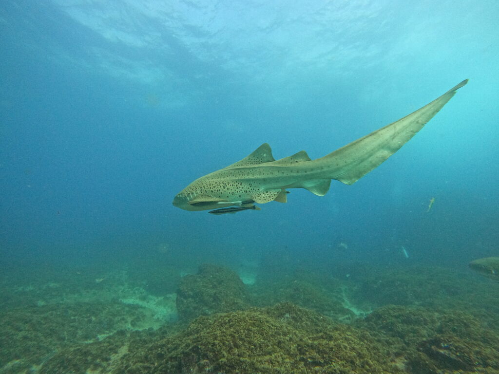 80e0c139-6b38-4634-a8c8-e74f650d40b6