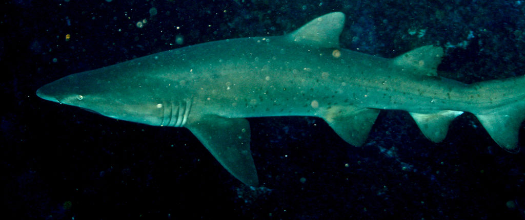 3c53074d-52a0-4e6f-b06a-df6f2edb279f