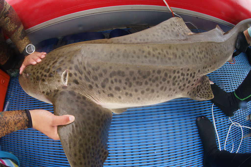 61c3d1c4-6928-4842-b70b-b36149abba1c