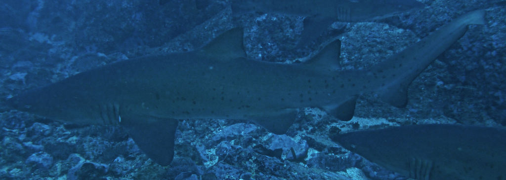 1ee40510-9206-4d40-a7d9-00dc4c852684