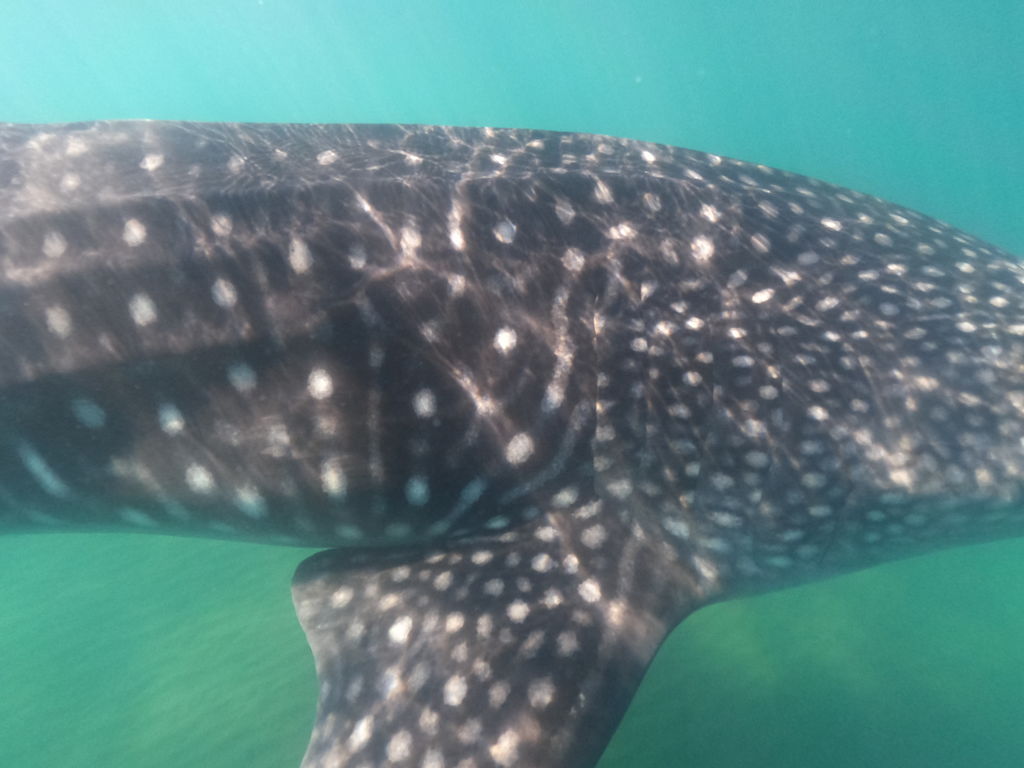 6bd5c373-22d8-4655-989b-4c794faba022