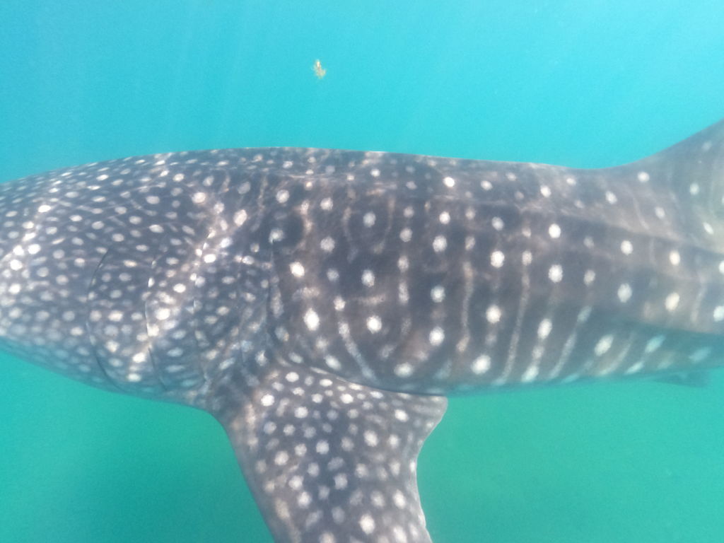 6bd5c373-22d8-4655-989b-4c794faba022