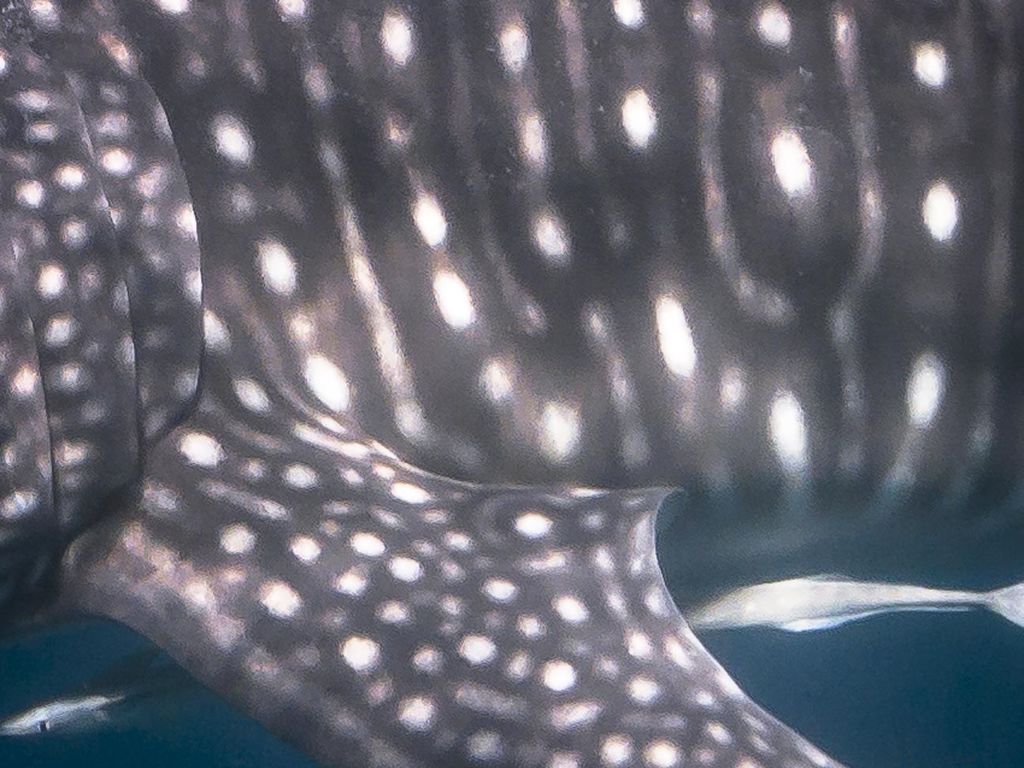 d8211a6e-8711-4305-9026-3b8d59e68231