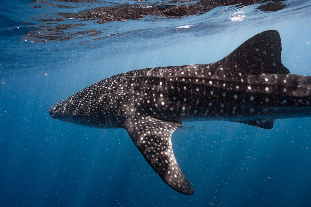 3aacee64-e84f-4e36-919e-f463abc9eaa0