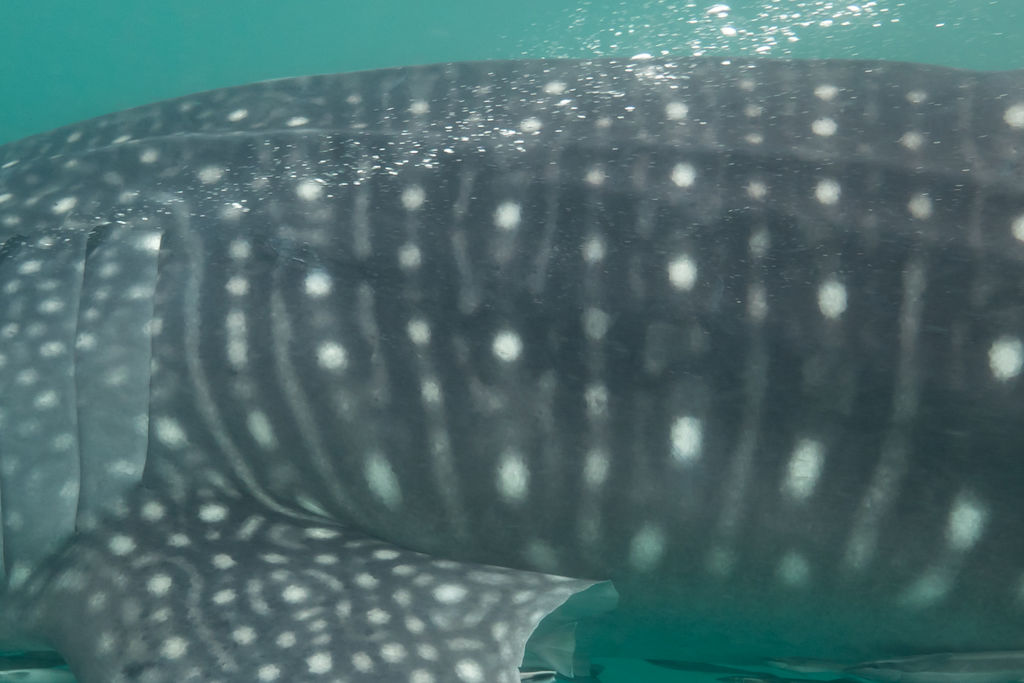 848e8536-4bde-4b25-a927-9905be4e645e