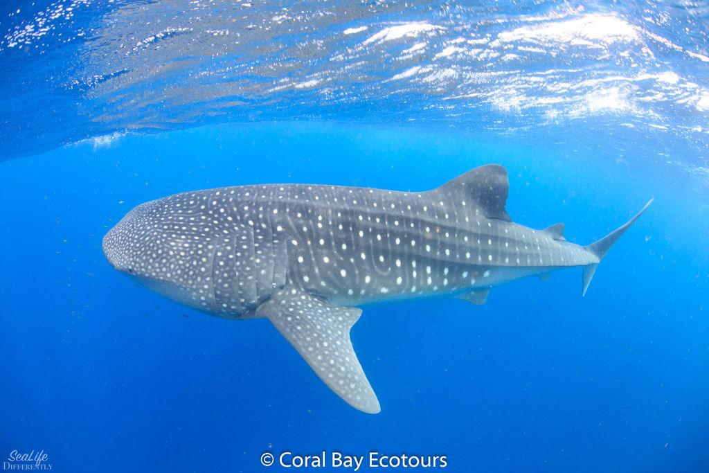 59aa8f5e-afff-43f1-aa66-b060678d7b2f