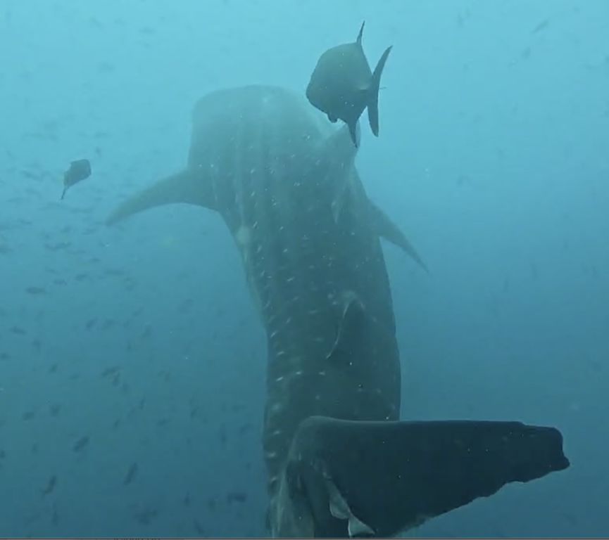 1f251b14-2ab2-4d5b-8b48-765773733a6e